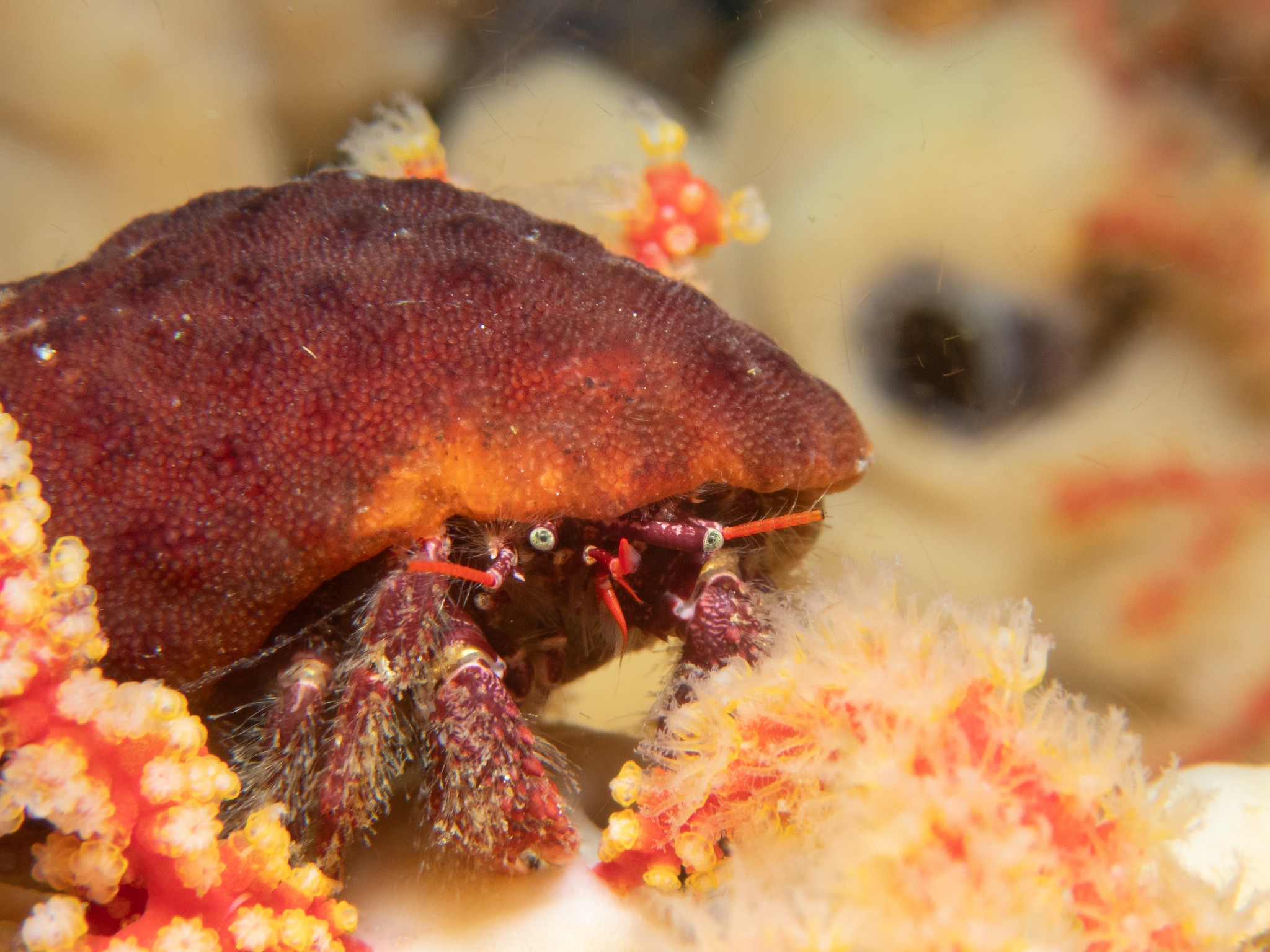 280685673_1010608959847392_1336249165314952022_n